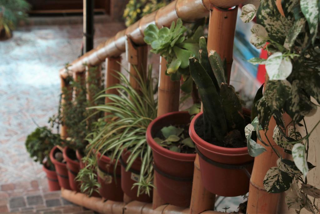 Hostel Sendero De Volcanes 拉塔昆加 外观 照片
